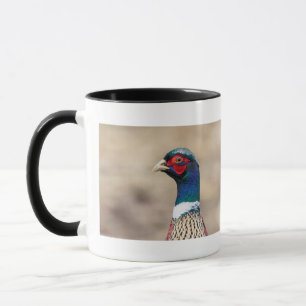 Portrait of a pheasant mug