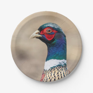 Portrait of a pheasant paper plate