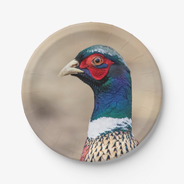 Portrait of a pheasant paper plate (Front)