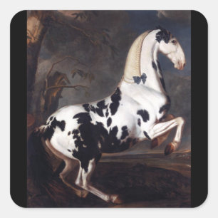 Portrait of a Piebald Square Sticker