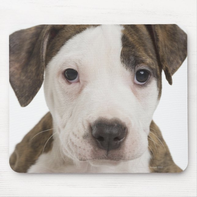 Portrait of a pitbull puppy mouse mat (Front)
