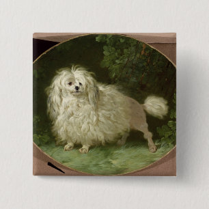 Portrait of a Poodle 15 Cm Square Badge