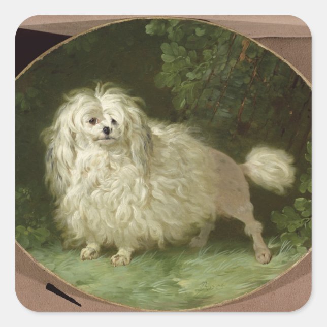 Portrait of a Poodle Square Sticker (Front)