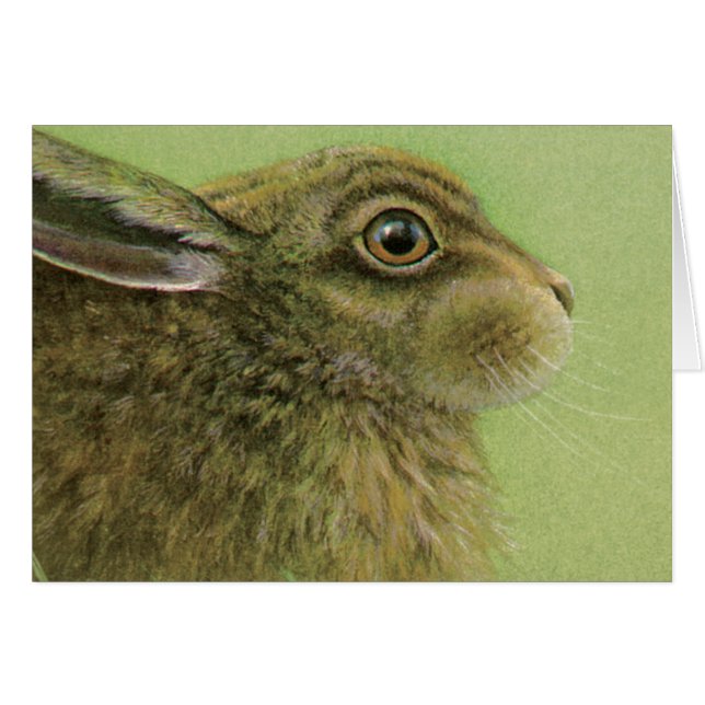 Portrait of a Rabbit acrylic painting (Front Horizontal)
