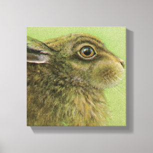 Portrait of a rabbit grazing boxed canvas print