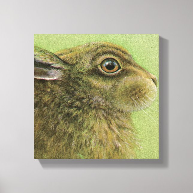 Portrait of a rabbit grazing boxed canvas print (Front)