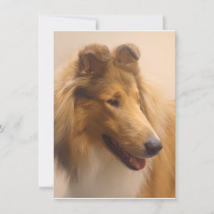 Portrait of a Rough Sable Collie Thank You Card