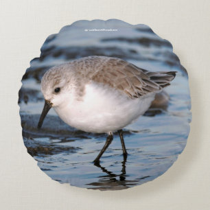 Portrait of a Sanderling Round Cushion