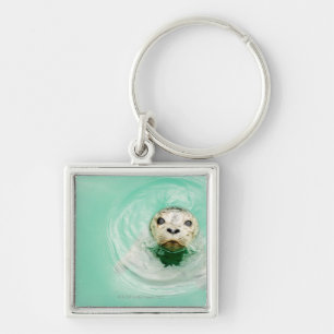 Portrait of a seal in water key ring