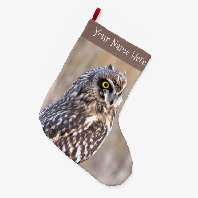 Portrait of a Short-Eared Owl in the Marshes Large Christmas Stocking (Front (Hanging))
