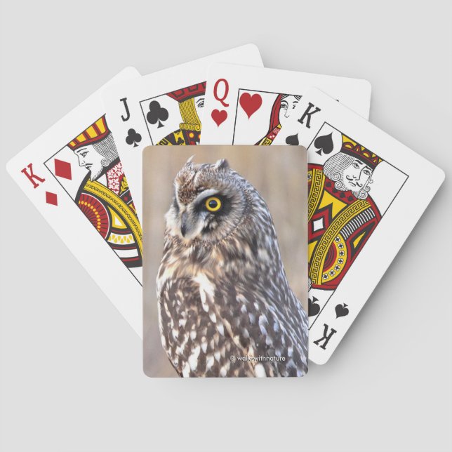 Portrait of a Short-Eared Owl Playing Cards (Back)