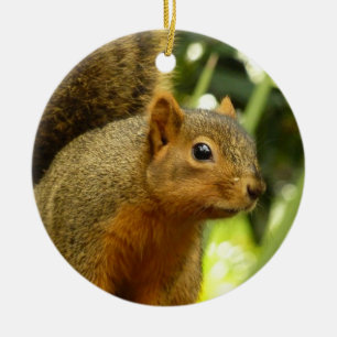 Portrait of a Squirrel Nature Animal Photography Ceramic Tree Decoration