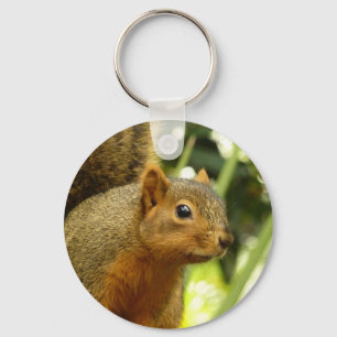 Portrait of a Squirrel Nature Animal Photography Key Ring