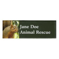 Portrait of a Squirrel Nature Animal Photography
