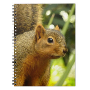 Portrait of a Squirrel Nature Animal Photography Notebook