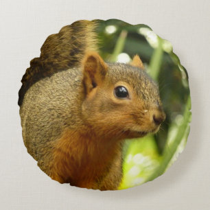 Portrait of a Squirrel Nature Animal Photography Round Cushion