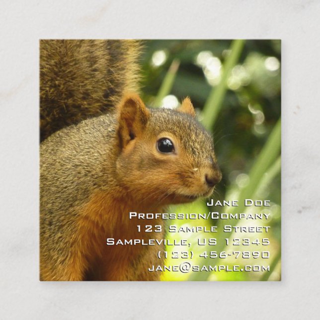 Portrait of a Squirrel Nature Animal Photography Square Business Card (Front)