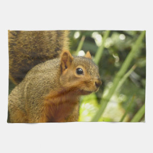 Portrait of a Squirrel Nature Animal Photography Tea Towel