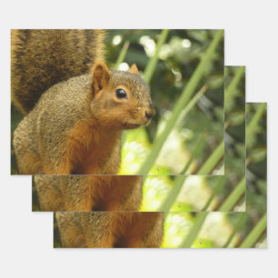 Portrait of a Squirrel Nature Animal Photography Wrapping Paper Sheet
