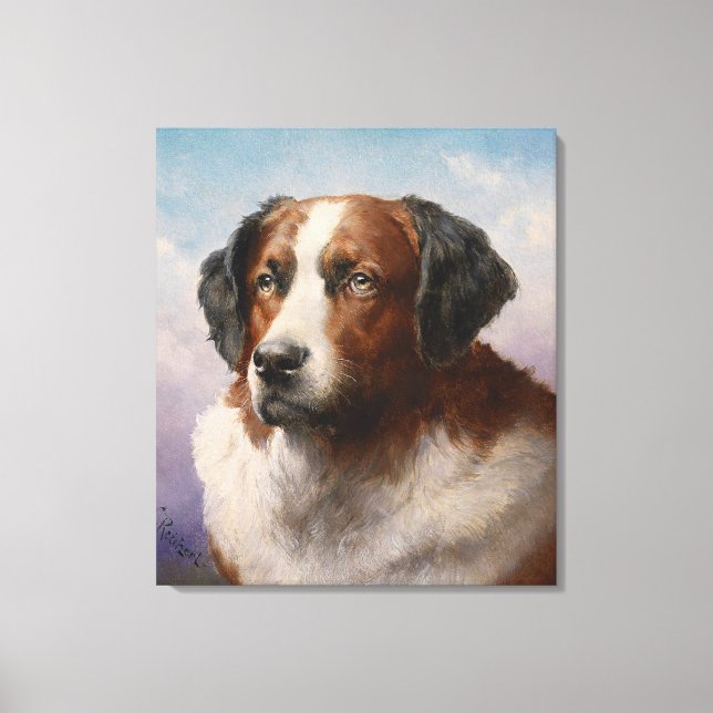 Portrait Of A St. Bernhard Dog Canvas Print (Front)