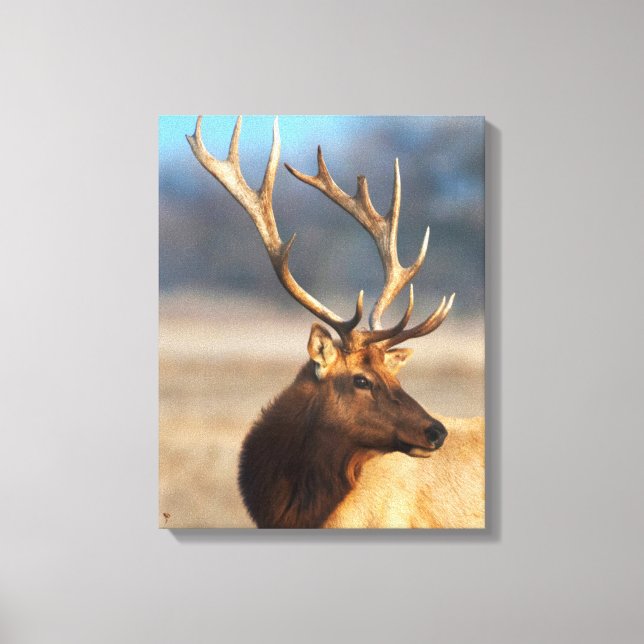 Portrait of a stunning bull elk canvas print (Front)