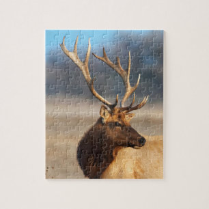Portrait of a stunning bull elk jigsaw puzzle