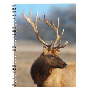 Portrait of a Stunning Bull Elk Notebook