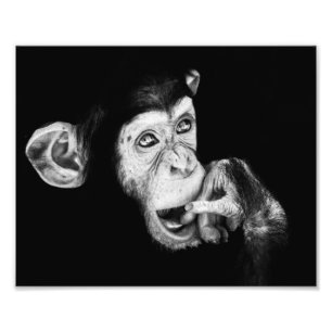 Portrait of a thinker photo print