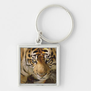 Portrait of a tiger key ring