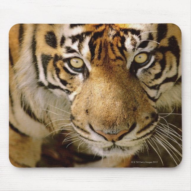 Portrait of a tiger mouse mat (Front)
