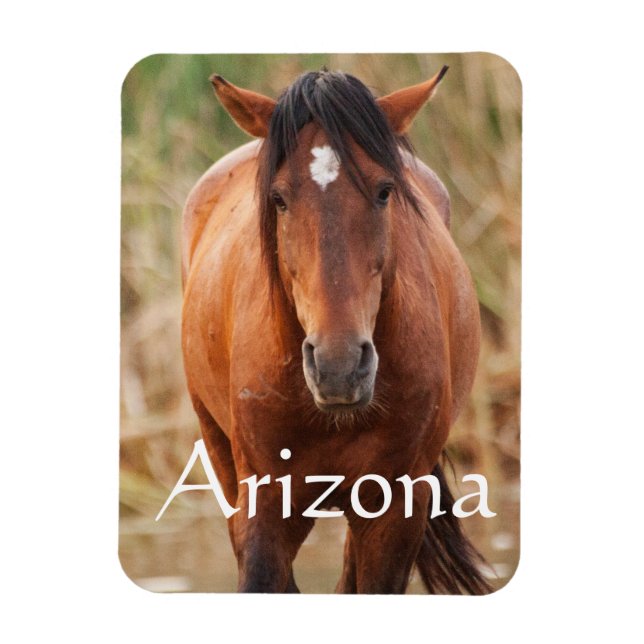 Portrait of a Wild Mustang, Arizona Magnet (Vertical)