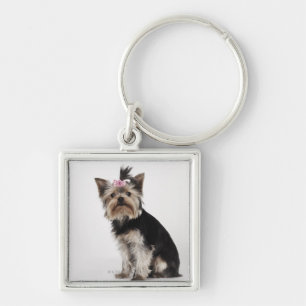 Portrait of a Yorkshire Terrier dog Key Ring