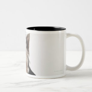 Portrait of a Yorkshire Terrier dog Two-Tone Coffee Mug