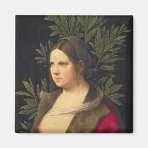 Portrait of a Young Woman , 1506 Magnet