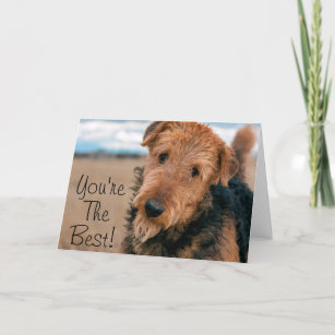 Portrait of an Airedale Terrier 2 Card
