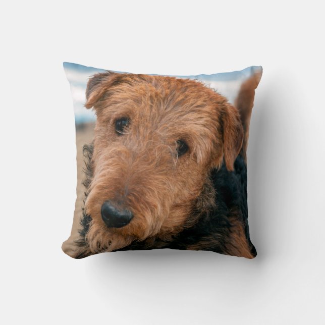 Portrait of an Airedale Terrier Cushion (Front)