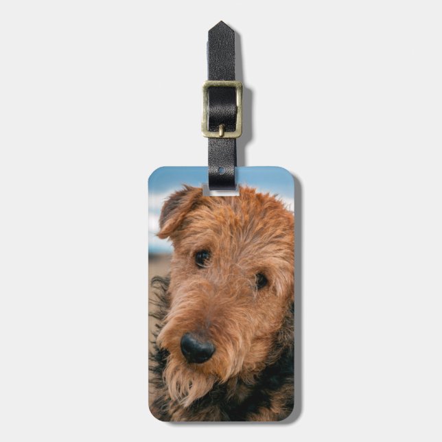 Portrait of an Airedale Terrier Luggage Tag (Front Vertical)