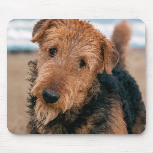 Portrait of an Airedale Terrier Mouse Mat (Front)