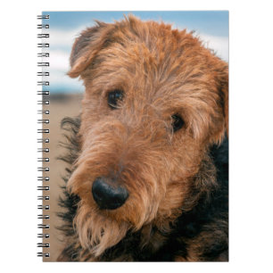 Portrait of an Airedale Terrier Notebook