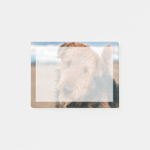 Portrait of an Airedale Terrier Post-it Notes