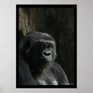Portrait of an Ape Poster