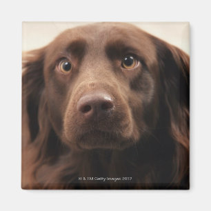 Portrait of an apprehensive young female magnet