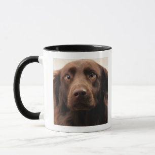 Portrait of an apprehensive young female mug