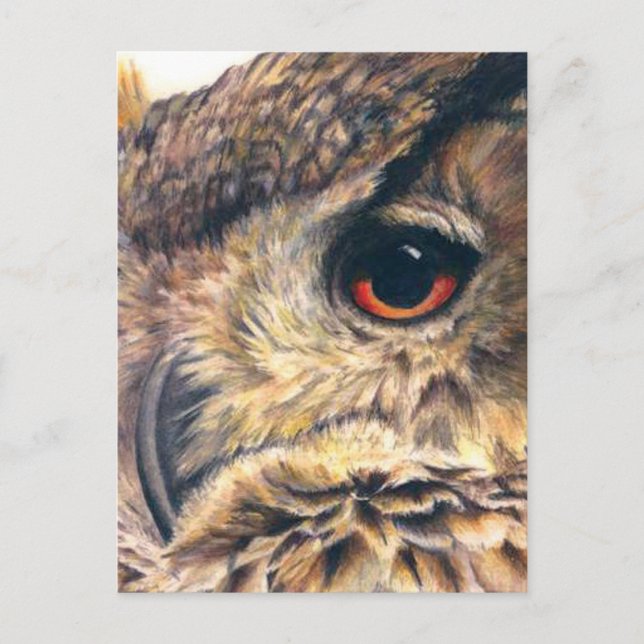 Portrait of an eagle owl postcard (Front)