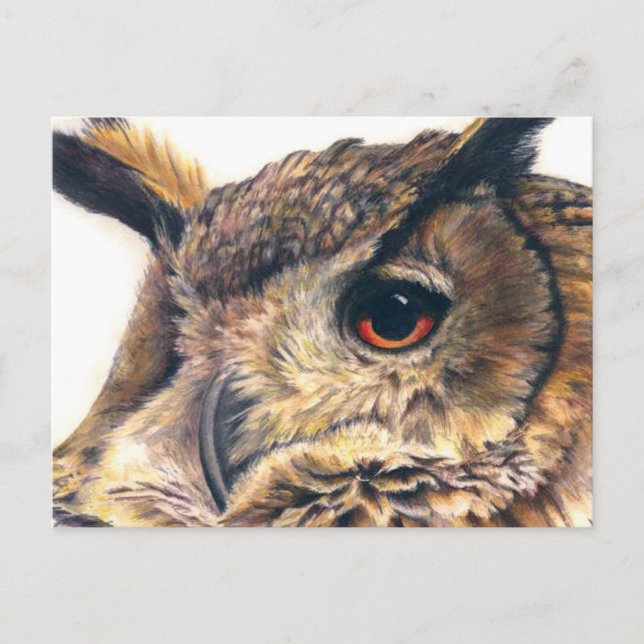 Portrait of an eagle owl postcard (Front)