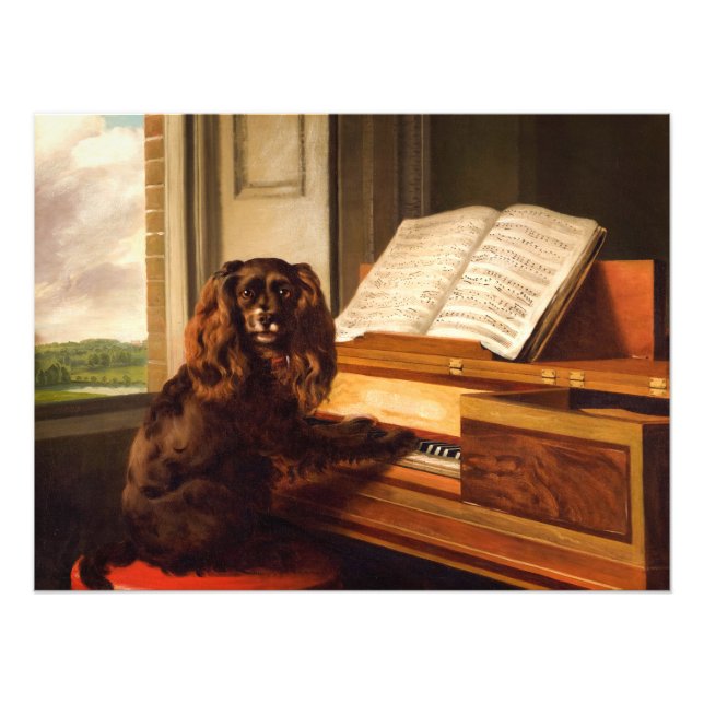 Portrait of an Extraordinary Musical Dog Photo Print (Front)