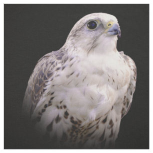 Portrait of an Inquisitive Saker Falcon Fabric