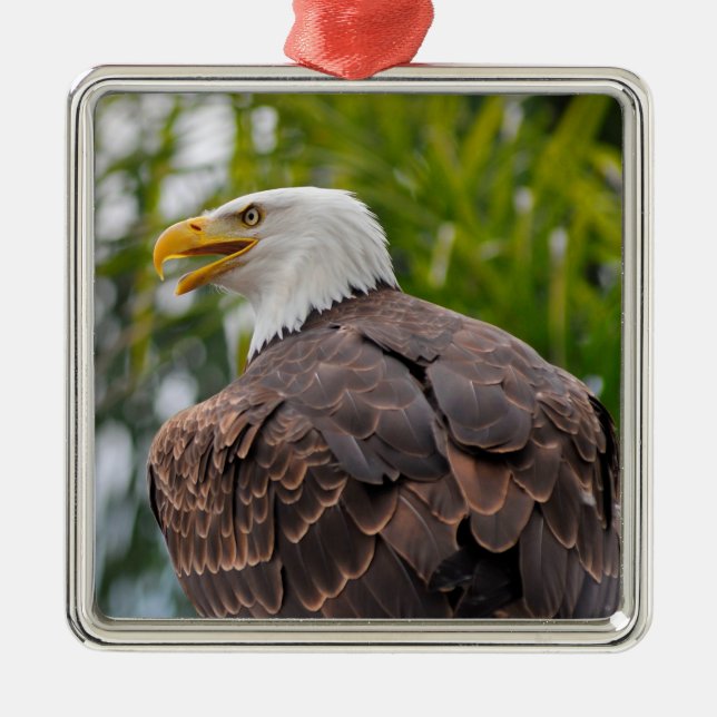Portrait of bald eagle metal tree decoration (Front)