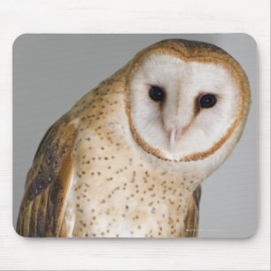 Portrait of barn owl (Tyto alba). Mouse Mat
