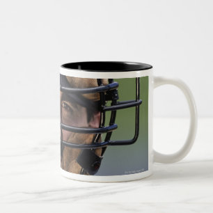 Portrait of baseball umpire wearing protective Two-Tone coffee mug